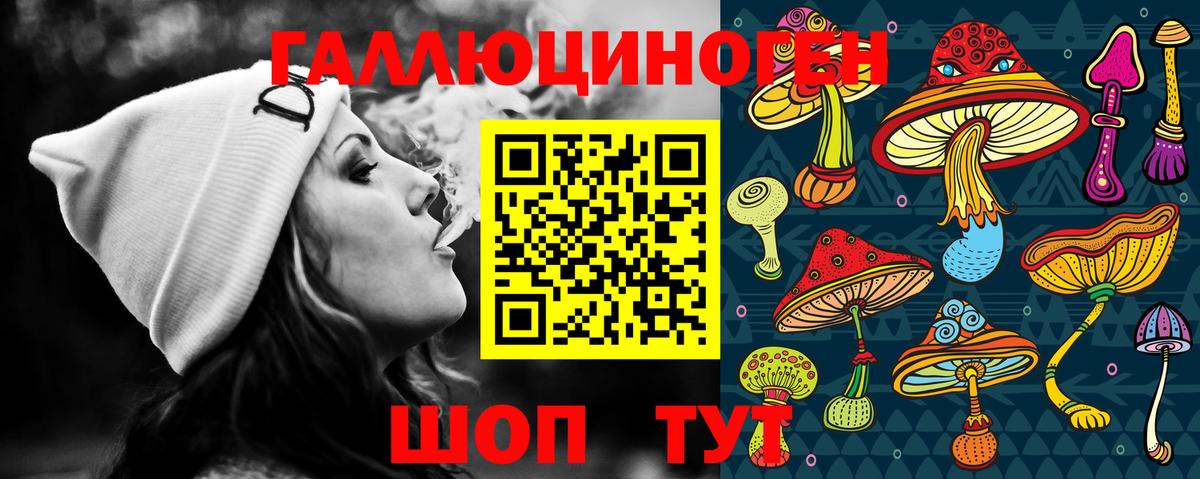 Галлюциногенные грибы GOLDEN TEACHER  Вход с VPN  Богородск 